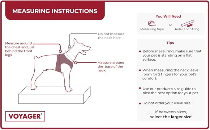 Voyager Step-in Air All Weather Mesh Harness and Reflective Dog 5 ft Leash Combo with Neoprene Handle, for Small, Medium and Large Breed Puppies by Best Pet Supplies - Gray (2-Tone), XS