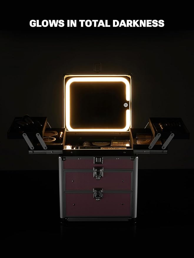 Qislee Makeup Box with Double Drawers and Four Trays, A Detachable Lighted Mirror, Waterproof Travel Train Case, Cosmetic Organizer and Makeup Suitcase with Magnetic LED Mirror(Black)
