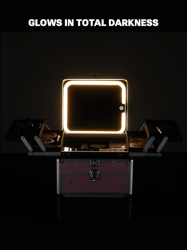 Qislee Makeup Box with Drawer and Four Trays, A Detachable Lighted Mirror, Waterproof Travel Train Case, Cosmetic Organizer and Makeup Suitcase with Magnetic LED Mirror(Black)