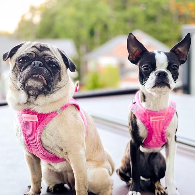 Best Pet Supplies - All Weather Mesh/Plush, Reflective, No Pull Harness for Small, Medium Dogs, Cats - Secure with Hook & Loop Fastener, Buckle, Double D-Rings - Fuchsia Corduroy, S