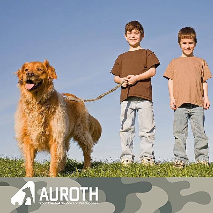 AUROTH Heavy Duty Bungee Dog Leash for Medium Large Breed Dogs, No Pull Leashes for Shock Absorption with Car Seat Belt, 2 Padded Handles 4.5FT 6FT Training Dog Leash