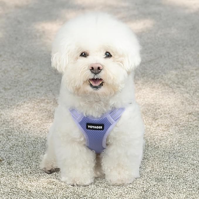 Best Pet Supplies Voyager Mesh Dog Breathable Harness Reflective Stitching, All Weather Adjustable for Walking Training, or Running - Heavy Duty & Durable, Harness (Lavender), L