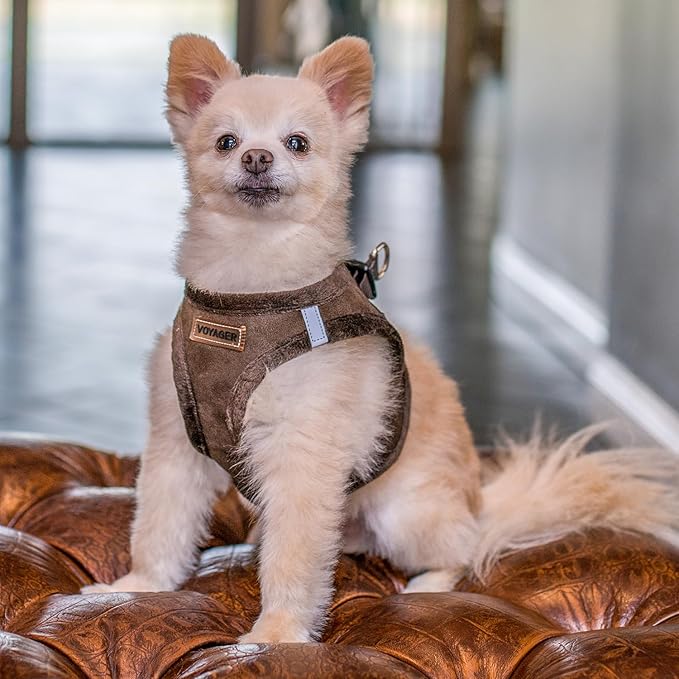 Best Pet Supplies - All Weather Mesh/Plush, Reflective, No Pull Harness for Small, Medium Dogs, Cats - Secure with Hook & Loop Fastener, Buckle, Double D-Rings - Chocolate Suede, XS