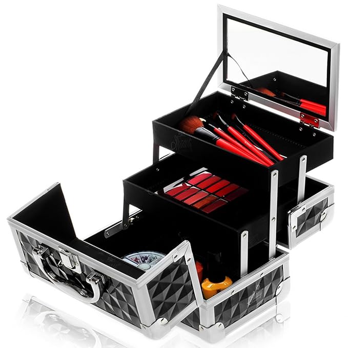 SHANY Chic Makeup Train Case Cosmetic Box Portable Makeup Case Cosmetics Beauty Organizer Jewelry storage with Locks, Multi trays Makeup Storage Box with Makeup Mirror - Black