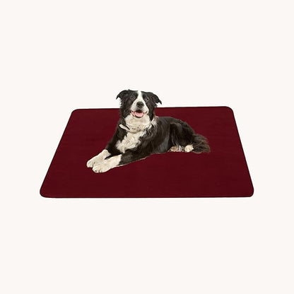 CAI TENG Fleece Throw Blanket 6 Pack Blankets Bulk Soft Lightweight Kid Blanket Cozy Small Blanket 50 x 60 Solid Pet-Friendly Bed Sofa Couch Fleece Fabric Travel Wedding Outdoor Burgundy
