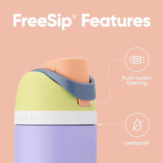 Owala FreeSip Insulated Stainless Steel Water Bottle with Straw for Sports and Travel, BPA-Free Sports Water Bottle, 24 oz, Grey/Grey, Due North