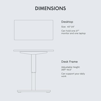 FLEXISPOT EN1 One-Piece Standing Desk, 40"x24" Seamless Desktop Electric Height Adjustable for Home Office, Study Rooms & Multi-Device Workstations, White(White Frame)