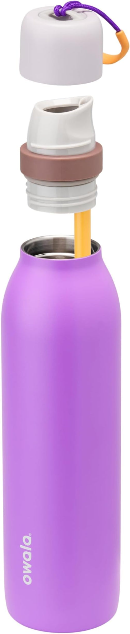 Owala FreeSip Twist Insulated Stainless Steel Water Bottle with Straw for Sports and Travel, BPA-Free, 24-oz, Purple/Purple (California Grapevine)
