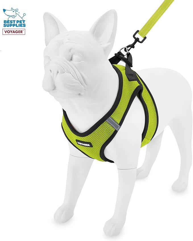 Voyager Step-in Air All Weather Mesh Harness & Reflective Dog 5 ft Leash Combo, Neoprene Handle, for Small, Medium, Large Breed Puppies by Best Pet Supplies - Leash Harness (Lime/Black Trim), M