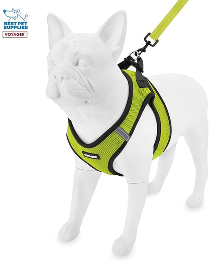 Voyager Step-in Air All Weather Mesh Harness & Reflective Dog 5 ft Leash Combo, Neoprene Handle, for Small, Medium, Large Breed Puppies by Best Pet Supplies - Leash Harness (Lime/Black Trim), M