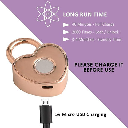 Heart Shaped Fingerprint Padlock, Small Smart Padlock for Gym Locker, Backpack, School, Mailbox, Travel Suitcase (Rose Gold)