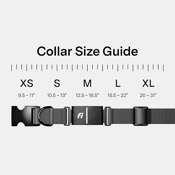 New Fi Series 3+ Smart Dog Tracker Collar [12 Month Membership Included] GPS Tracker for Dogs with Health & Behavior Monitoring, Escape Alerts, Waterproof, LED, Apple Watch Compatible (Gray, Large)