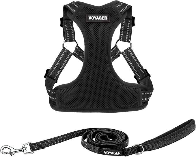 Best Pet Supplies Voyager Mesh Dog Breathable Harness Reflective Stitching, All Weather Adjustable for Walking Training, or Running - Heavy Duty & Durable, Harness Leash Set (Black), XL