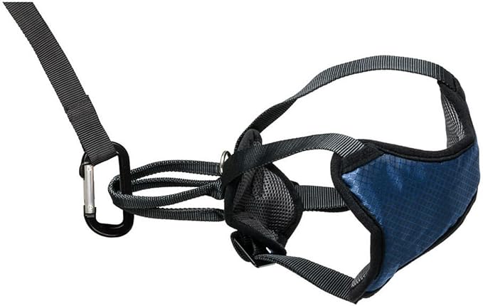 PetSafe Happy Ride Dog Safety Harness for Cars - Dog Car Harness Includes Seat Belt Tether - Keeps Pets Restrained - Breathable Mesh, Adjustable Straps - Dog Travel Accessories for Car - Medium