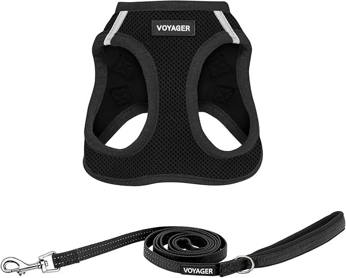 Voyager Step-in Air All Weather Mesh Harness and Reflective Dog 5 ft Leash Combo with Neoprene Handle, for Small, Medium and Large Breed Puppies by Best Pet Supplies - Set (Black), L