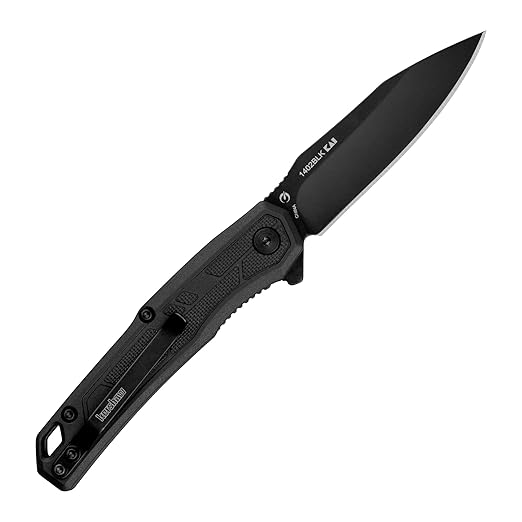 Kershaw Appa Folding Tactical Pocket Knife, SpeedSafe Opening, 2.75 inch Black Blade and Handle, Small, Lightweight Every Day Carry