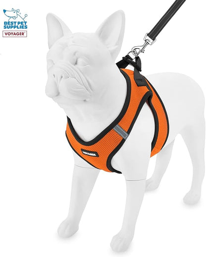 Voyager Step-in Air All Weather Mesh Harness & Reflective Dog 5 ft Leash Combo, Neoprene Handle, for Small, Medium, Large Breed Puppies by Best Pet Supplies - Leash Harness (Orange/Black Trim), M