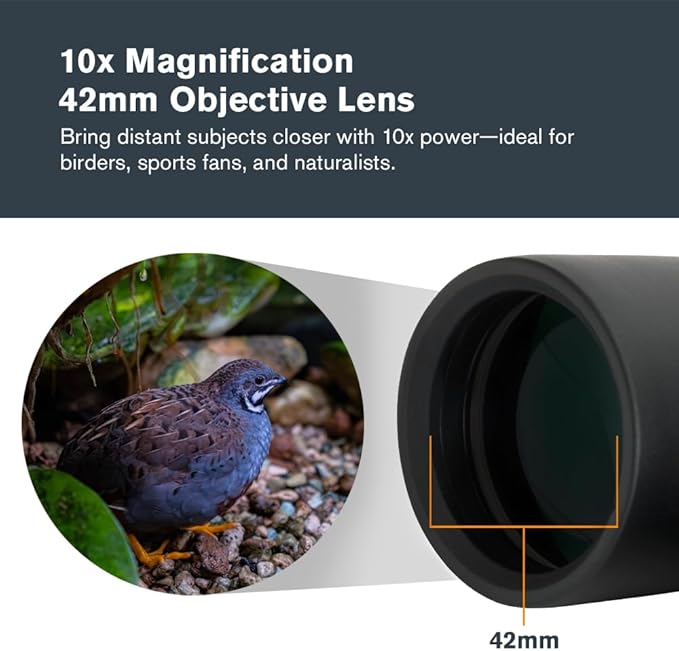 Celestron - Outland X 10x42 Binoculars – Ideal for Birding and Outdoors – 42mm Objective Lenses – 5.5° Field of View – BaK-4 Prisms – Multi-Coated – Waterproof and Fogproof