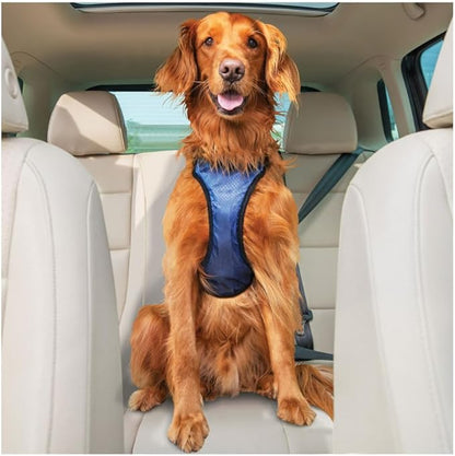 PetSafe Happy Ride Dog Safety Harness for Cars - Dog Car Harness Includes Seat Belt Tether - Keeps Pets Restrained - Breathable Mesh, Adjustable Straps - Dog Travel Accessories for Car - Medium