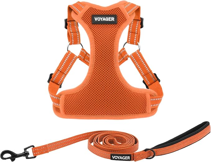 Best Pet Supplies Voyager Mesh Dog Breathable Harness Reflective Stitching, All Weather Adjustable for Walking Training, or Running - Heavy Duty & Durable, Harness Leash Set (Orange), S