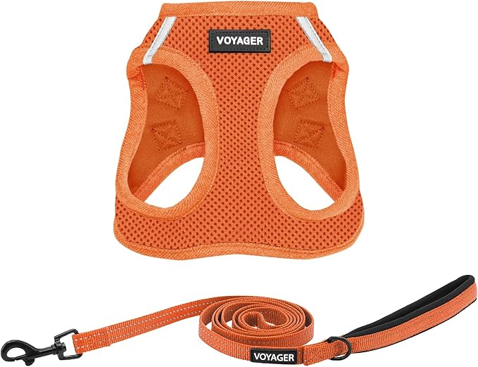 Voyager Step-in Air All Weather Mesh Harness and Reflective Dog 5 ft Leash Combo with Neoprene Handle, for Small, Medium and Large Breed Puppies by Best Pet Supplies - Harness Leash Set (Orange), M