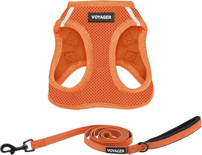 Voyager Step-in Air All Weather Mesh Harness and Reflective Dog 5 ft Leash Combo with Neoprene Handle, for Small, Medium and Large Breed Puppies by Best Pet Supplies - Harness Leash Set (Orange), M