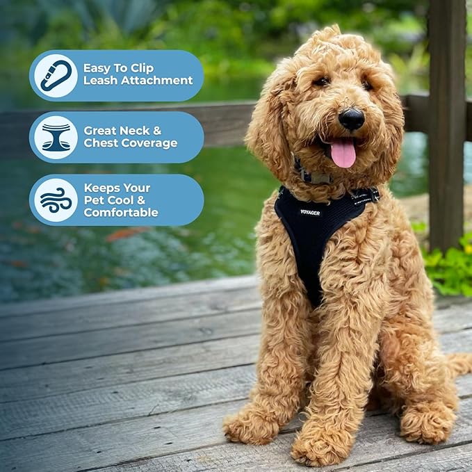 Best Pet Supplies Voyager Mesh Dog Breathable Harness Reflective Stitching, All Weather Adjustable for Walking Training, or Running - Heavy Duty & Durable, Harness (Black), L