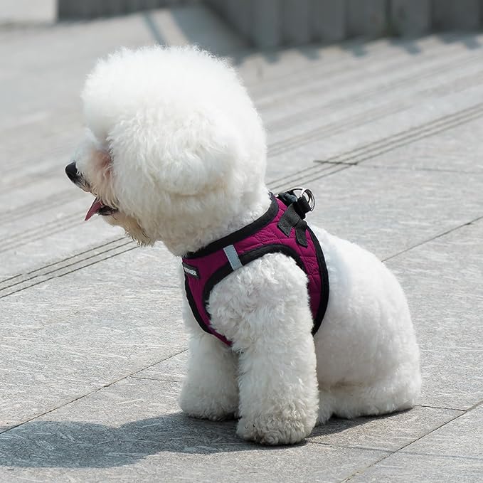 Best Pet Supplies - All Weather Mesh/Plush, Reflective, No Pull Harness for Small, Medium Dogs, Cats - Secure with Hook & Loop Fastener, Buckle, Double D-Rings - Red Rose Plush, XL