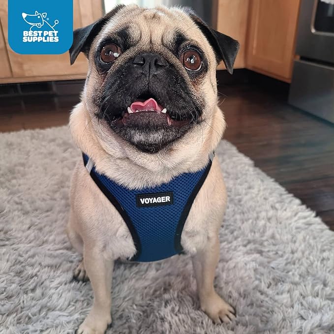Best Pet Supplies Voyager Step-in Air Harness - All Weather Mesh, Reflective, No Pull Harness for Dogs, Cats - Secure with Hook & Loop Fastener, Buckle, Double D-Rings - Royal Blue/Black Trim, XXXS
