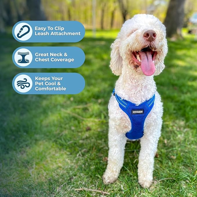 Best Pet Supplies Voyager Mesh Dog Breathable Harness Reflective Stitching, All Weather Adjustable for Walking Training, or Running - Heavy Duty & Durable, Harness (Royal Blue), S