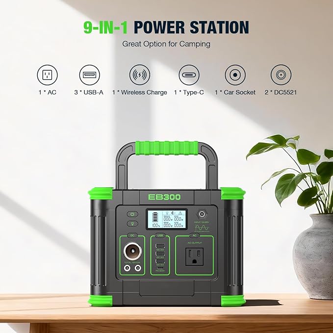 300W power station