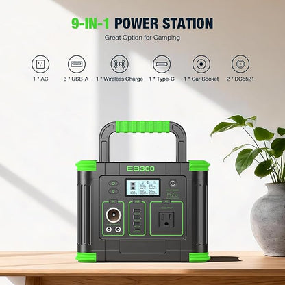 300W power station