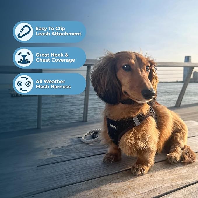 Best Pet Supplies Voyager Step-in Air Harness - All Weather Mesh, Reflective, No Pull Harness for Dogs, Cats - Secure with Hook & Loop Fastener, Buckle, Double D-Rings - Black, XXXS