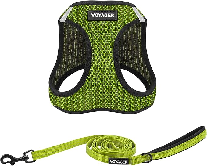 Voyager Step-in Air All Weather Mesh Harness and Reflective Dog 5 ft Leash Combo with Neoprene Handle, for Small, Medium and Large Breed Puppies by Best Pet Supplies - Lime Green (Leash Bundle), L