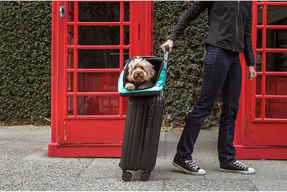 Sleepypod Air - Airline Approved Carrier for Cats and Dogs (Olive Green)