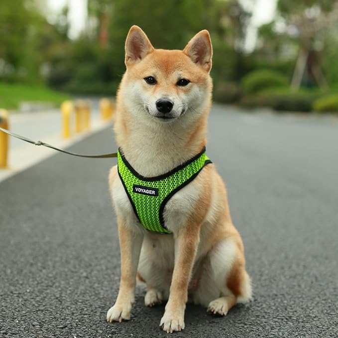 Voyager Step-in Air All Weather Mesh Harness and Reflective Dog 5 ft Leash Combo with Neoprene Handle, for Small, Medium and Large Breed Puppies by Best Pet Supplies - Lime Green (Leash Bundle), L