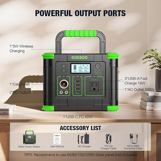 300W power station