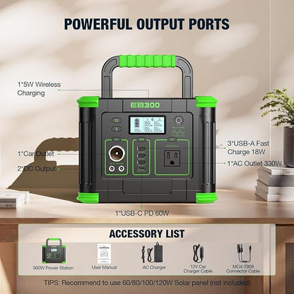300W power station