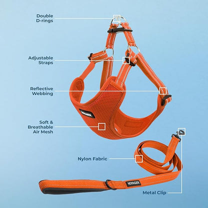 Best Pet Supplies Voyager Mesh Dog Breathable Harness Reflective Stitching, All Weather Adjustable for Walking Training, or Running - Heavy Duty & Durable, Harness Leash Set (Orange), S