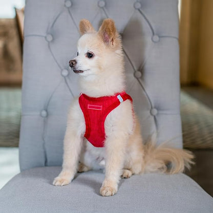 Best Pet Supplies - All Weather Mesh/Plush, Reflective, No Pull Harness for Small, Medium Dogs, Cats - Secure with Hook & Loop Fastener, Buckle, Double D-Rings - Red Corduroy, XL