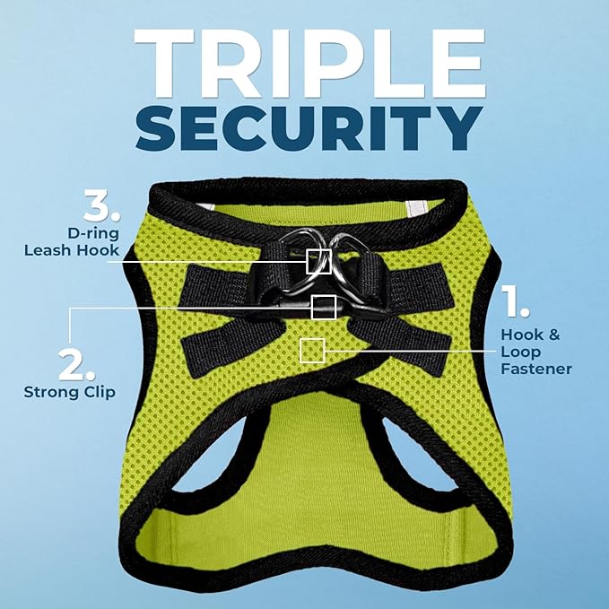 Voyager Step-in Air All Weather Mesh Harness and Reflective Dog 5 ft Leash Combo with Neoprene Handle, for Small, Medium and Large Breed Puppies by Best Pet Supplies - Lime/Black Trim, Small