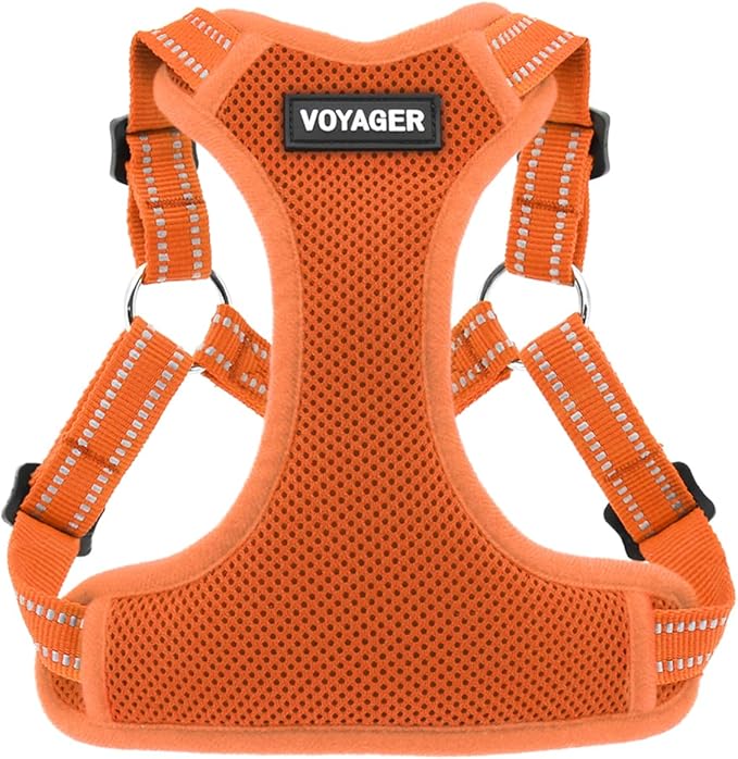 Best Pet Supplies Voyager Mesh Dog Breathable Harness Reflective Stitching, All Weather Adjustable for Walking Training, or Running - Heavy Duty & Durable, Harness (Orange), XL