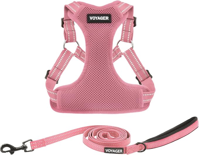 Best Pet Supplies Voyager Mesh Dog Breathable Harness Reflective Stitching, All Weather Adjustable for Walking Training, or Running - Heavy Duty & Durable, Harness Leash Set (Pink), XS