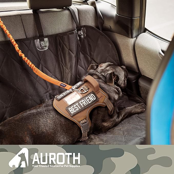 AUROTH Large Dog Leash - Heavy Duty Bungee, No Pull, Orange 6FT, 2 Padded Handles