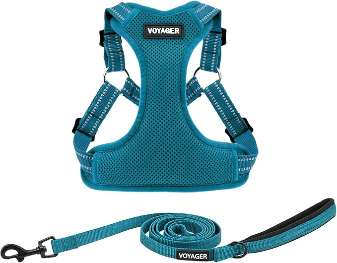 Best Pet Supplies Voyager Mesh Dog Breathable Harness Reflective Stitching, All Weather Adjustable for Walking Training, or Running - Heavy Duty & Durable, Harness Leash Set (Turquoise), S