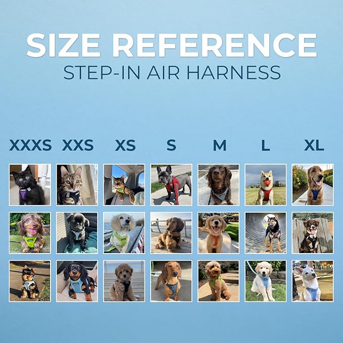 Best Pet Supplies Voyager Step-in Air Harness - All Weather Mesh, Reflective, No Pull Harness for Dogs, Cats - Secure with Hook & Loop Fastener, Buckle, Double D-Rings - Black, XS