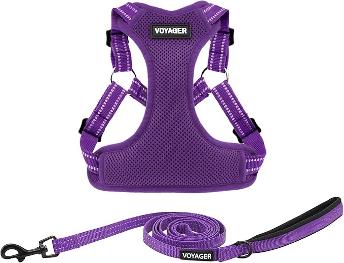 Best Pet Supplies Voyager Mesh Dog Breathable Harness Reflective Stitching, All Weather Adjustable for Walking Training, or Running - Heavy Duty & Durable, Harness Leash Set (Purple), XL