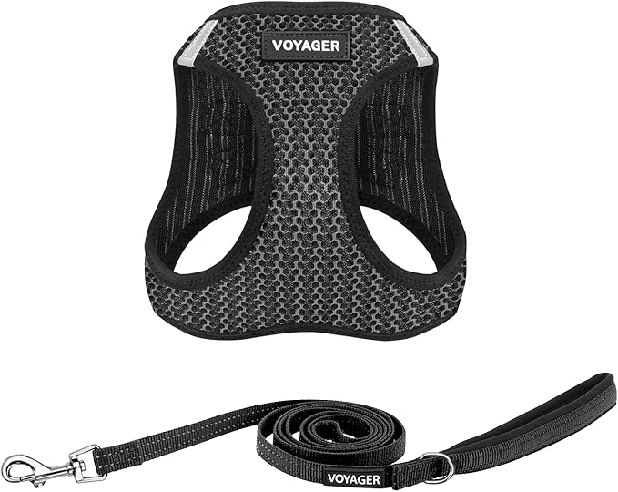 Voyager Step-in Air All Weather Mesh Harness and Reflective Dog 5 ft Leash Combo with Neoprene Handle, for Small, Medium and Large Breed Puppies by Best Pet Supplies - Gray (2-Tone), S