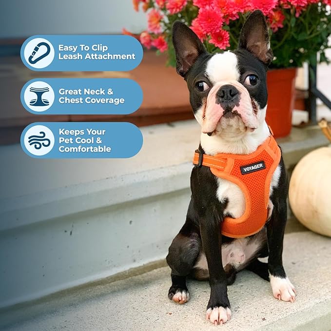 Best Pet Supplies Voyager Mesh Dog Breathable Harness Reflective Stitching, All Weather Adjustable for Walking Training, or Running - Heavy Duty & Durable, Harness Leash Set (Orange), L