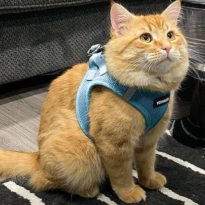 Best Pet Supplies Voyager Step-in Air Harness - All Weather Mesh, Reflective, No Pull Harness for Dogs, Cats - Secure with Hook & Loop Fastener, Buckle, Double D-Rings - Baby Blue, XXXS